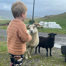 Load image into Gallery viewer, MÓI Barnapeysa