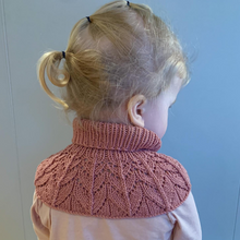 Load image into Gallery viewer, BAX Barnakragi