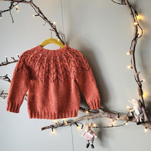 Load image into Gallery viewer, BAX Barnapeysa