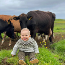 Load image into Gallery viewer, Litli tígull - lopapeysa