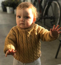 Load image into Gallery viewer, Göngur barnapeysa