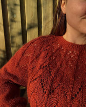 Load image into Gallery viewer, BAX Fullorðinspeysa