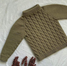 Load image into Gallery viewer, Göngur barnapeysa