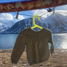 Load image into Gallery viewer, Flóki Barnapeysa