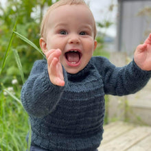 Load image into Gallery viewer, Haukur - heil peysa