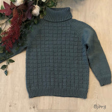 Load image into Gallery viewer, Haukur - heil peysa