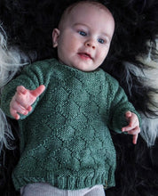 Load image into Gallery viewer, Darri barnapeysa